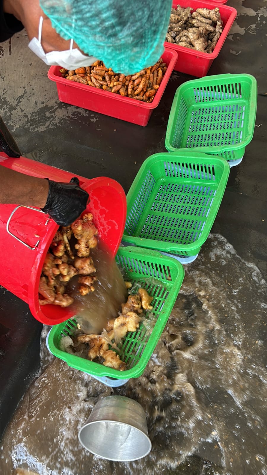 Nohyoghi Company Gallery 2